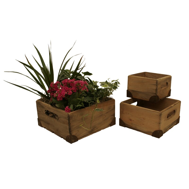 3 Piece Weathered Pine Crates Set